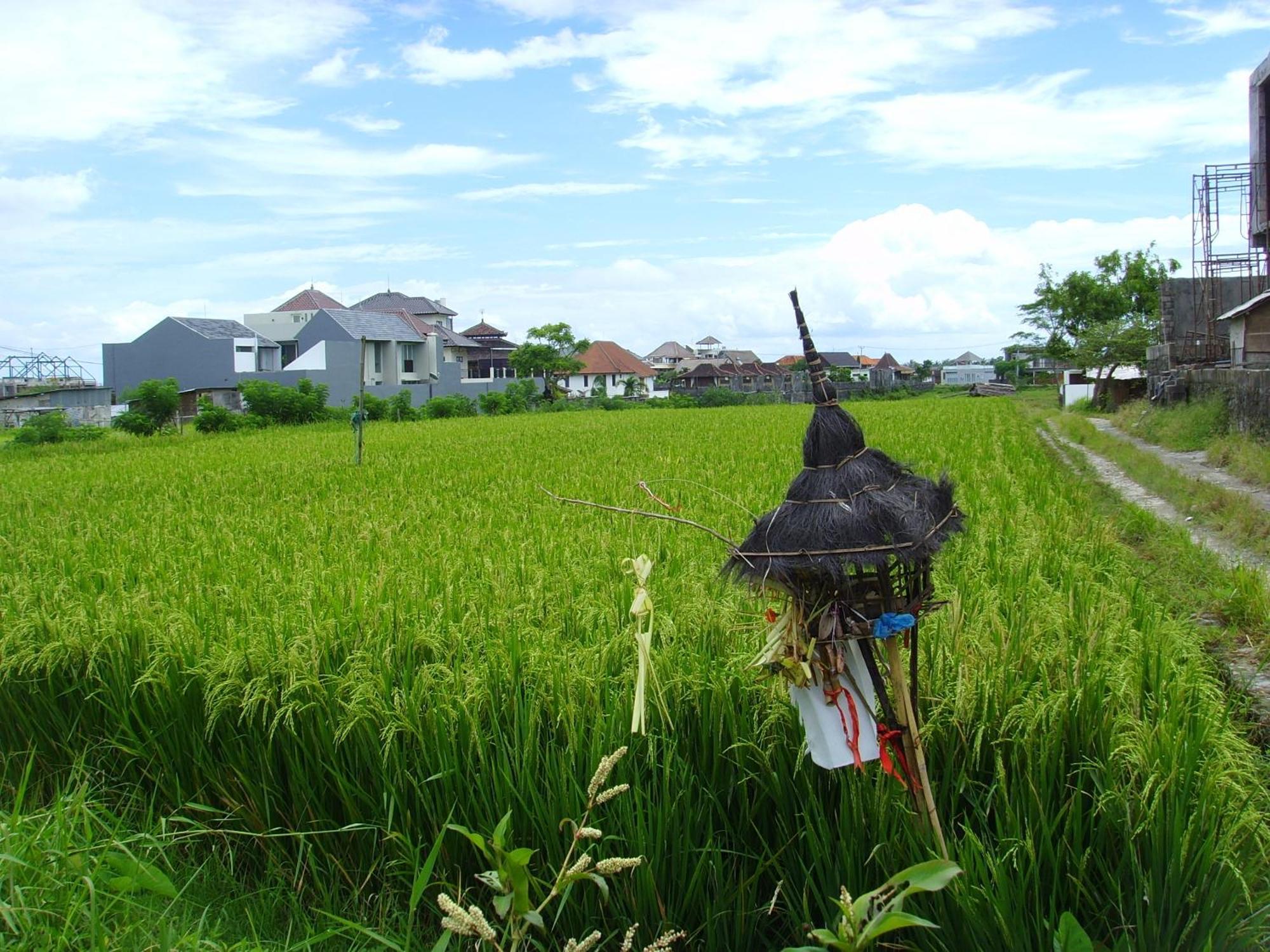Jonsen Homestay Canggu Buitenkant foto